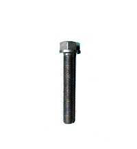 Flange screw 11700326