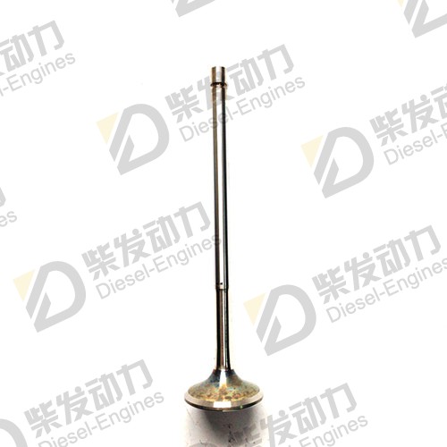 Exhaust valve 20513285