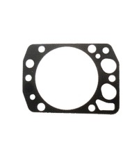 Gasket kit 4220160020