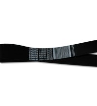 Fan belt 3100188