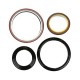 Gasket kit 3800558