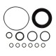 Gasket kit 3800750