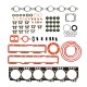 Gasket kit 3800750