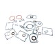 Gasket kit 3801007