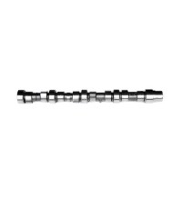 Camshaft 3929039