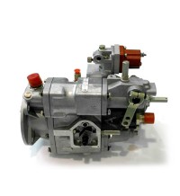 Fuel Pump 4061206