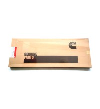 Overhaul gasket 4955590