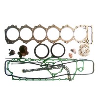 Gasket kit 1-11141-216-2