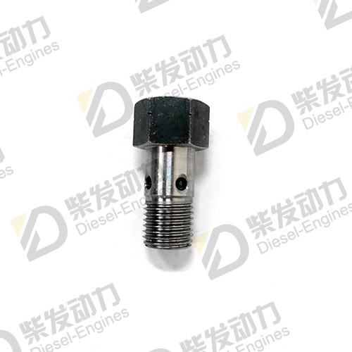 Valve 20405847
