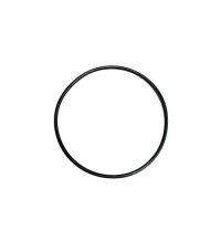 O-ring 13948980