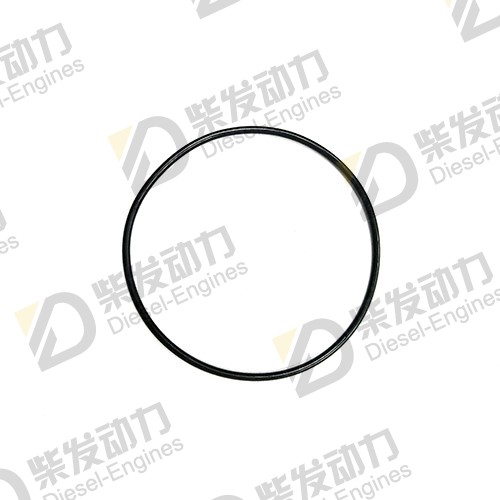 O-ring 13948980