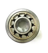 Bearing 14529765