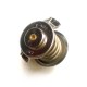 Thermostat 20506125