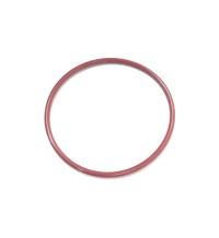 Sealing ring 20547205