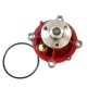 Water pump kit 21404502