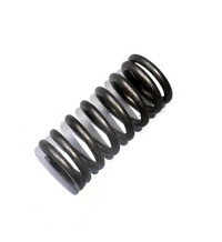 Valve spring 21324296