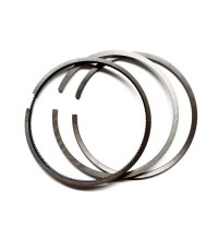 Piston ring kit 276037