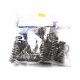 Valve spring 3183211