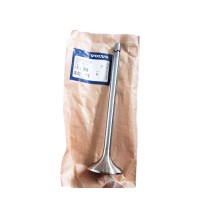 Exhaust valve 3978766