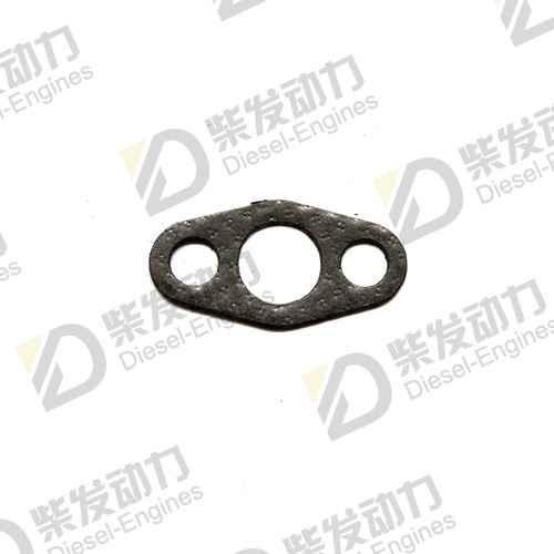 Gasket 420641