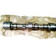 Camshaft 8194480