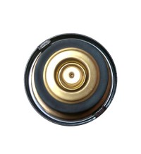 Pressure cap 866095