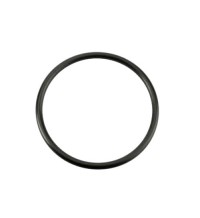 O-ring 925092