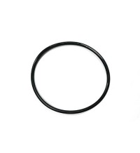 O-ring 925255