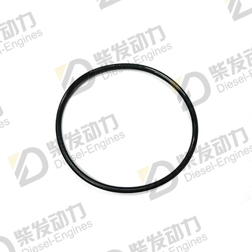 O-ring 925255