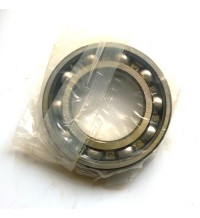 Bearing 95200663