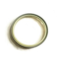 Oil Seal 956420950