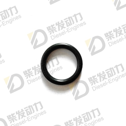 O-ring 14526569